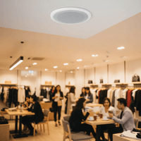 5211 Ceiling Speaker 6.5