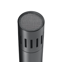 AKG C151 Cardioid Condenser Microphone Small Diaphragm - 885038048541