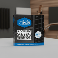 Ashton ASPA12 12 - String Acoustic Guitar Strings | Light Gauge Set - 9356790027583