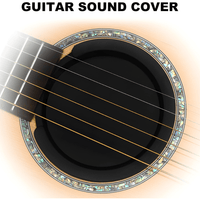 Ashton SHM5 Guitar Soundhole Muffler Black - 9335679000688