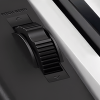 Casio CT - X800C2 Keyboard, 61 Key Aix Sound Source, 600 Tone, 195 Rhythms Pitch Bend - 4971850314837