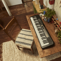 Casio LKS250C2 61 - Key Lighting Keyboard - 4971850314967