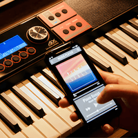 Casiotone CT - S1000V high end keyboard with vocal synthesizer - 4971850315148