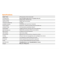 CELTO Acoustique ACS10 with ACS18 COMBO/ PACCEL009 - 8622365638822