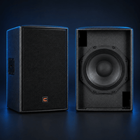 Celto Acoustique CMP10 10