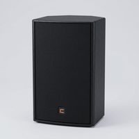 Celto Acoustique CT15 G2 Passive Speaker 15