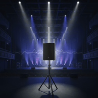 Celto Acoustique CT15 G2 Passive Speaker 15