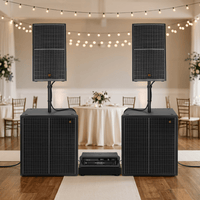 Celto Acoustique CT15V / CSW118V + DSP24 Active PA System Combo - 