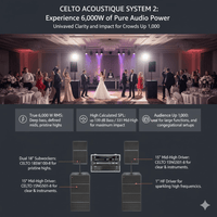 Celto Acoustique System 2 CT15V Combo - 