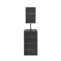 Celto Acoustique System 2 CT15V Combo - 