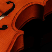Cervini SAGHV10034 HV-100 3/4 Size Student Violin Outfit with Case & Bow - 00688382028548