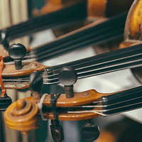 Cremona SV100 4/4 Violin Outfit - 0682656610017