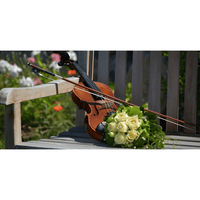 Cremona SV100 4/4 Violin Outfit - 0682656610017