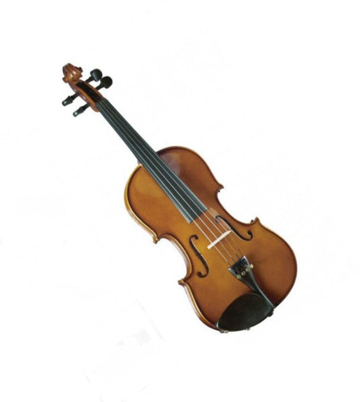 Cremona SV100 4/4 Violin Outfit - 0682656610017