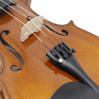 Cremona SV100 4/4 Violin Outfit - 0682656610017