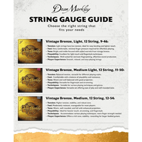 Dean Markley DM2202 12 - String Acoustic Guitar Strings - Light 9 - 46 - 00756004220202