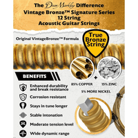 Dean Markley DM2202 12 - String Acoustic Guitar Strings - Light 9 - 46 - 00756004220202