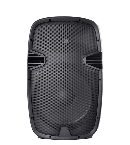 Design Acoustics PHB1201 Cabinet PA Speaker 12