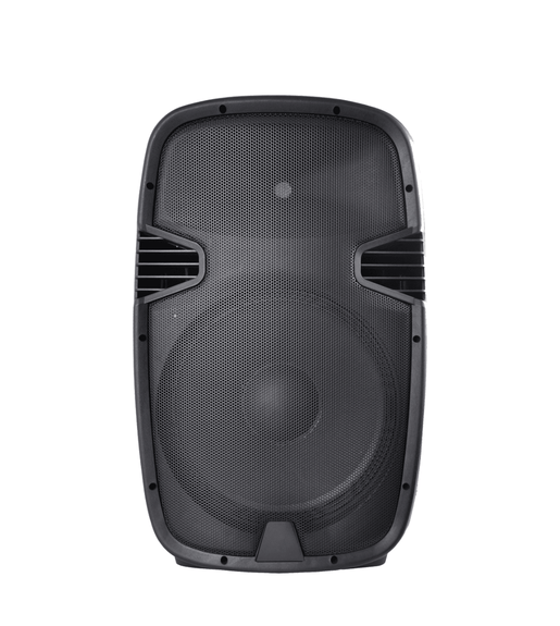 Design Acoustics PHB1501 Cabinet PA Speaker 15