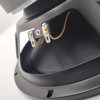 Design Acoustics SK10300W 10