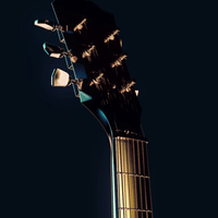 Elixir 12052 Nanoweb Nickel Plated Light Electric Guitar Strings (10 - 46) - 733132120529