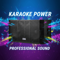 Fidek FD218BNC Bass Bin Speaker 18