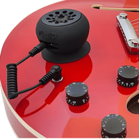 Fluid Audio Strum Buddy Guitar Monitor/Amplifier - 858445004684