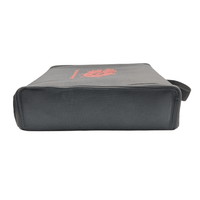 Gipps CDJBAG-LARGE-BLK Large Padded CDJ Carry Bag (Black) - 