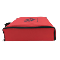 Gipps CDJBAG-LARGE-RED Large Padded CDJ Carry Bag (Red) - 