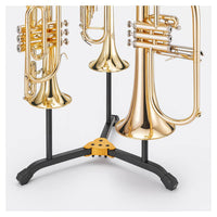 Hercules DS513BB 2 Trumpets Cornets with 1 Flugelhorn Stand with Bag - 635464453194