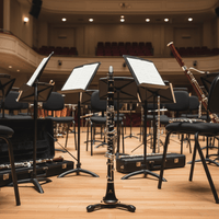 Hercules DS640BB Deluxe Flute/Clarinet Stand with Bag - 635464453620