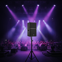 Hybrid+ Altium 12 - DSP Active Speaker - 