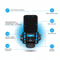 Hybrid C4 Condenser Microphone - 