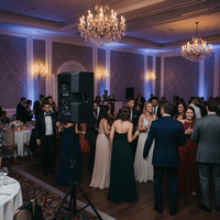 Hybrid PA15DSP Speaker - 