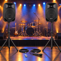 Hybrid Party Box 12-DSP Active Speaker Combo - 