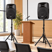 Hybrid Party Box 12-DSP Active Speaker Combo - 