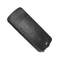Hybrid PB215N Cabinet Passive Speaker 15