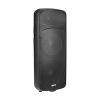 Hybrid PB215N Cabinet Passive Speaker 15