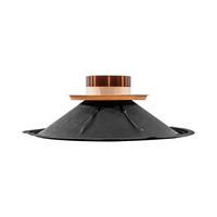 Hybrid Speaker Replacement Recone - Kit for 15H600 - 