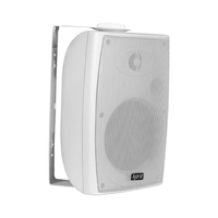 Hybrid W5 White 5″ Wall Mount Speaker - 