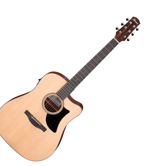 Ibanez AAD50CE Advanced Acoustic Electric Guitar - Natural - 4549763304421