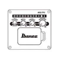 Ibanez AAD50CE Advanced Acoustic Electric Guitar - Natural - 4549763304421