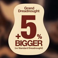 Ibanez AAD50CE Advanced Acoustic Electric Guitar - Natural - 4549763304421