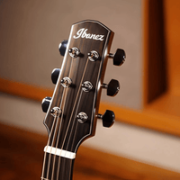 Ibanez AAD50CE Advanced Acoustic Electric Guitar - Natural - 4549763304421