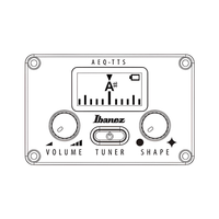 Ibanez AEG50 - BK AEG Series Acoustic Electric Guitar - 4549763230997