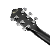 Ibanez AEG50 - BK AEG Series Acoustic Electric Guitar - 4549763230997