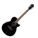 Ibanez AEG50 - BK AEG Series Acoustic Electric Guitar - 4549763230997