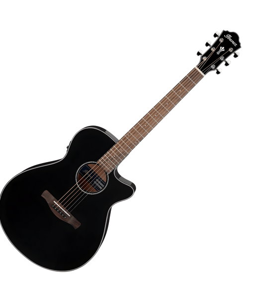 Ibanez AEG50 - BK AEG Series Acoustic Electric Guitar - 4549763230997