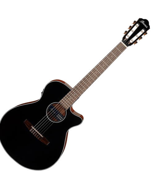IBANEZ AEG50 - BKN Acoustic Electric Guitar Black - 4549763230997