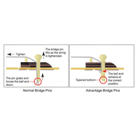 Ibanez AEG50 - DHH Acoustic Guitar W/Pick - Up Dark Honey Burst - 4549763230966